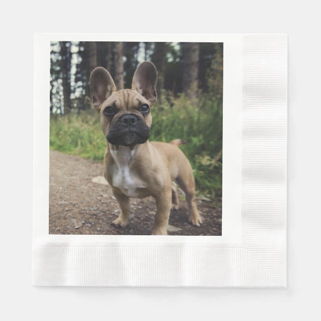 Servilleta De Papel Almohada de lanzamiento de Bulldog Francés (Anverso)