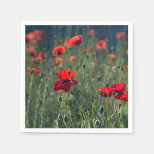 Servilleta De Papel Amapolas Bonitas en Foto de Prado Salvaje