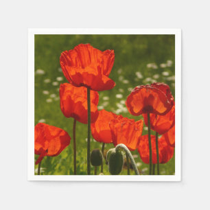 Servilleta De Papel Amapolas Brillantes