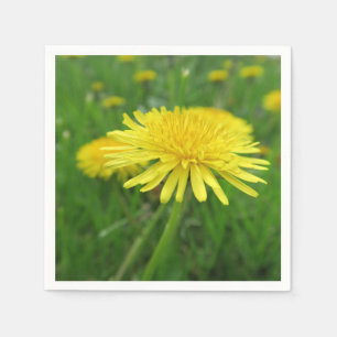 Servilleta De Papel amarillo, ranúnculo, planta, diente de león, prado
