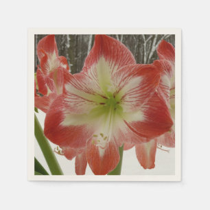 Servilleta De Papel Amaryllis en floral de invierno en la nieve roja f