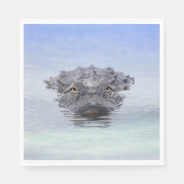 Servilleta De Papel American Alligator – Lake Apopka Wildlife Drive (Anverso)