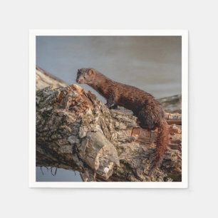 Servilleta De Papel American Mink