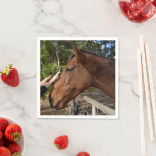 Servilleta De Papel Amigo del caballo para siempre,