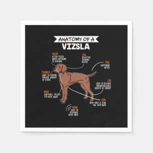 Servilleta De Papel Anatomía De Un Perro Vizsla