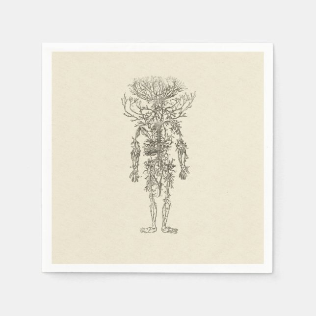 Servilleta De Papel Anatomía humana Ilustracion antiguo de las arteria (Anverso)