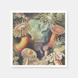 Servilleta De Papel Anemones marinos, Actiniae Seanemonen Ernst Haecke
