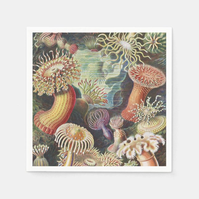 Servilleta De Papel Anemones marinos, Actiniae Seanemonen Ernst Haecke (Anverso)