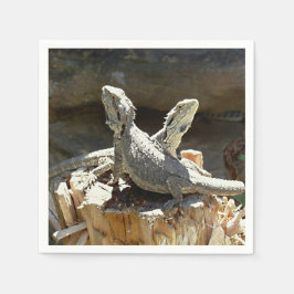 Servilleta De Papel Anfión y Zethus