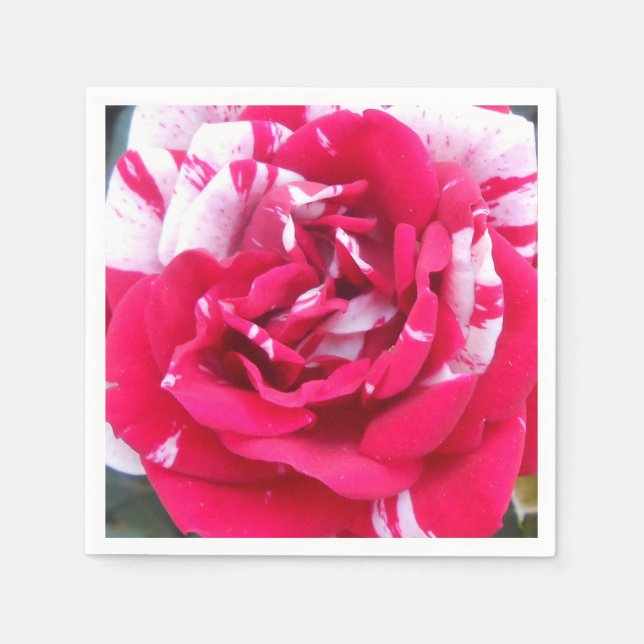 Servilleta De Papel Anicia (Anverso)