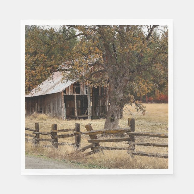 SERVILLETA DE PAPEL ANTIGUO BARN (Anverso)