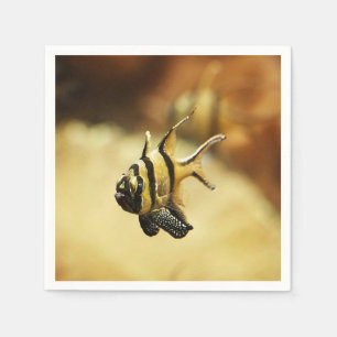 Servilleta De Papel Antílago solitario Stripy