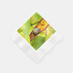 Servilleta De Papel apego