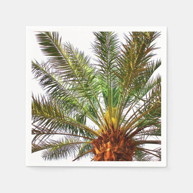 Servilleta De Papel Árbol de fechas (Anverso)