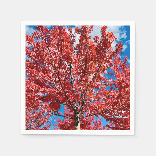 Servilleta De Papel Árbol de hojas rojas en otoño (Anverso)