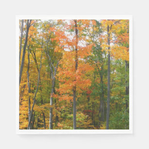 Servilleta De Papel Árboles de Arce de Otoño Fotografía de la Naturale