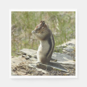 Servilleta De Papel Ardilla de tierra manchada de oro en el glaciar I