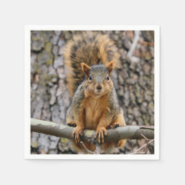 Servilleta De Papel Ardilla de zorro falso