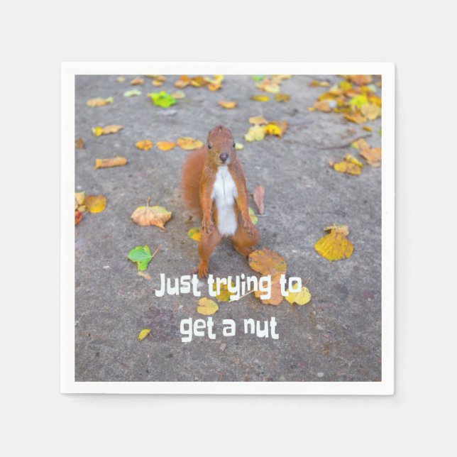 Servilleta De Papel ardilla sólo tratando de conseguir una nuez (Anverso)