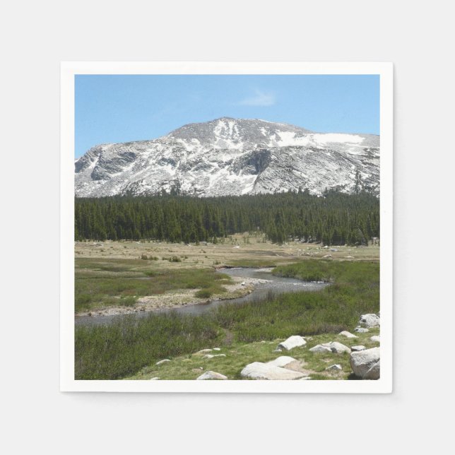 Servilleta De Papel Arroyo de alta montaña de los países I (Anverso)