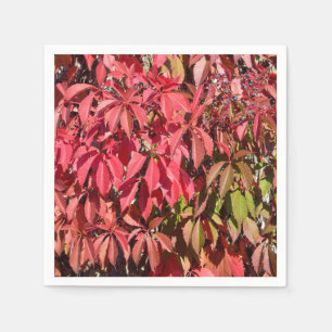 Servilleta De Papel Arroz japonés trepando una fachada