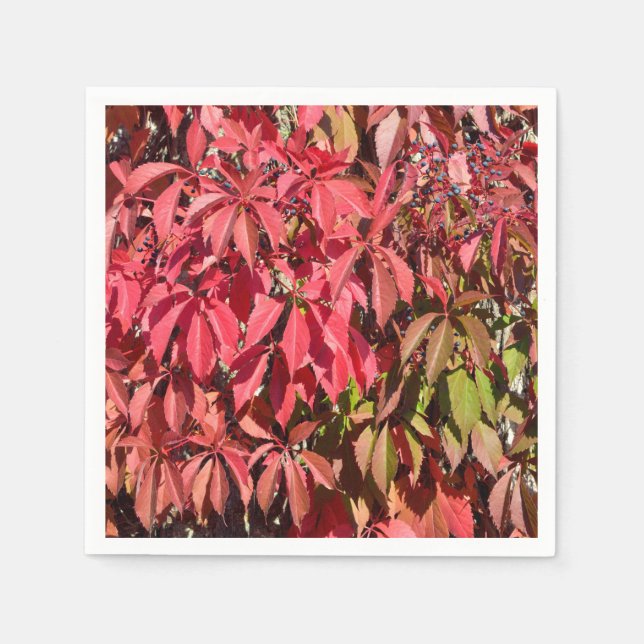 Servilleta De Papel Arroz japonés trepando una fachada (Anverso)