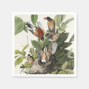 Servilleta De Papel Arte Antiguo Nido de Pájaro de Robin Americano de