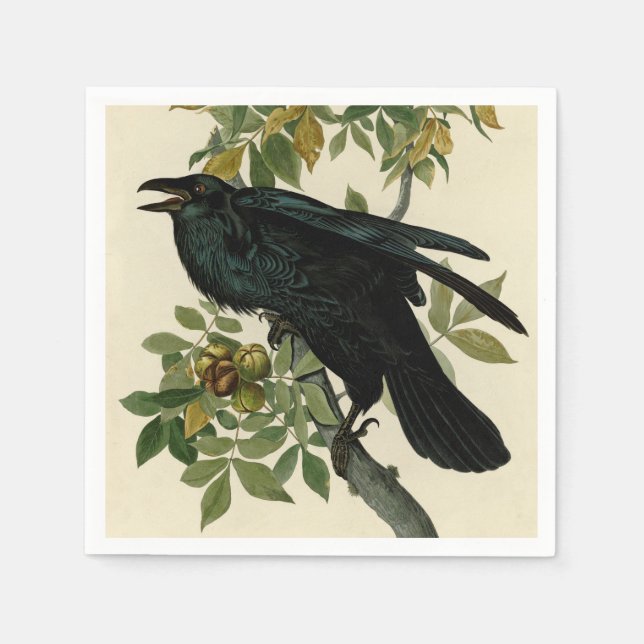 Servilleta De Papel Arte clásico Audubon Raven (Anverso)