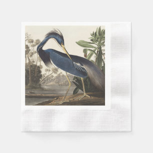 Servilleta De Papel Arte de ave de la garza de Louisiana de Audubon vi