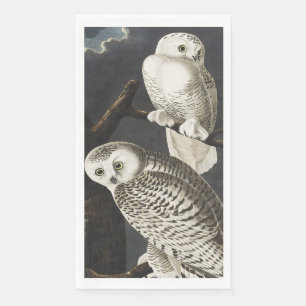 Servilleta De Papel Arte de ave nocturna de búho nevado Audubon vintag