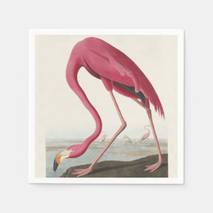 Servilleta De Papel Arte de ave rosa flamenco americano Audubon vintag