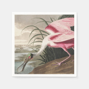 Servilleta De Papel Arte de ave vintage de Audubon de la espátula rosa