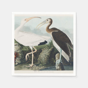 Servilleta De Papel Arte de la naturaleza del Ibis Blanco de Audubon v