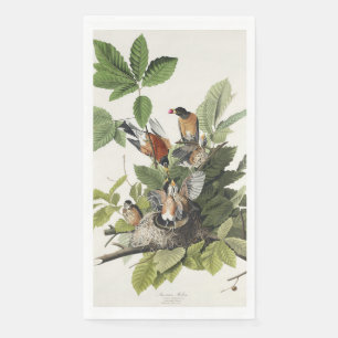 Servilleta De Papel Arte de nido de pájaro Robin americano Audubon vin