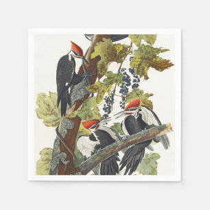 Servilleta De Papel Arte de pájaro carpintero pileado Audubon vintage
