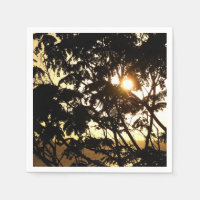 Atardecer a través de árboles en fotografía tropic