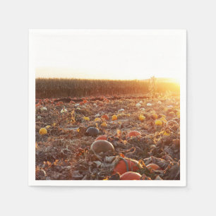 Servilleta De Papel Atardecer en el Parche de Calabaza C
