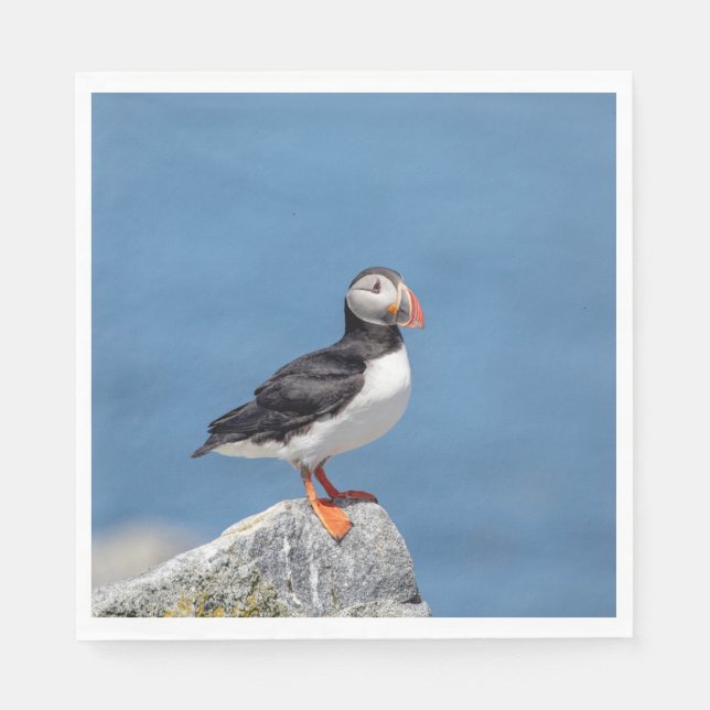Servilleta De Papel Atún de aleta atlántica en Maquias, Maine (Anverso)