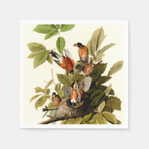 Servilleta De Papel Audubon American Robin Wildlife Bird Ilustracion