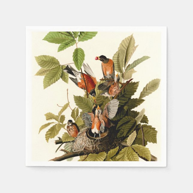 Servilleta De Papel Audubon American Robin Wildlife Bird Ilustracion (Anverso)