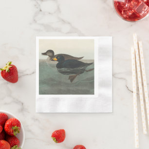 Servilleta De Papel Audubon American Scoter Duck Classic