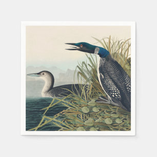 Servilleta De Papel Audubon Bird Lodge Diver Classic