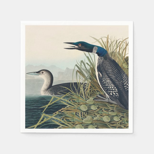 Servilleta De Papel Audubon Bird Lodge Diver Classic (Anverso)