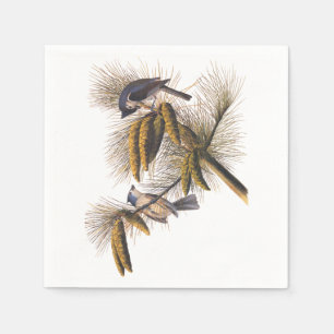 Servilleta De Papel Audubon Crested Titmouse Cocktail Napkins