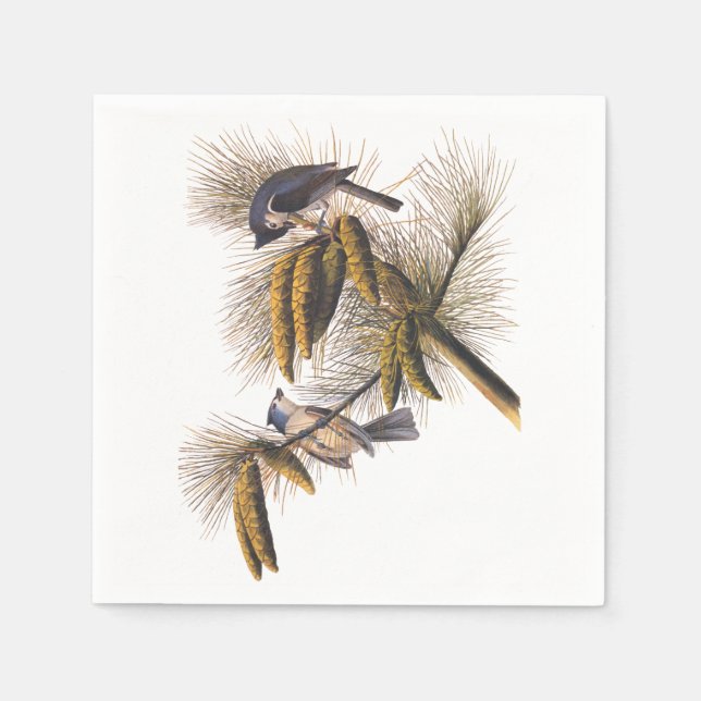 Servilleta De Papel Audubon Crested Titmouse Cocktail Napkins (Anverso)