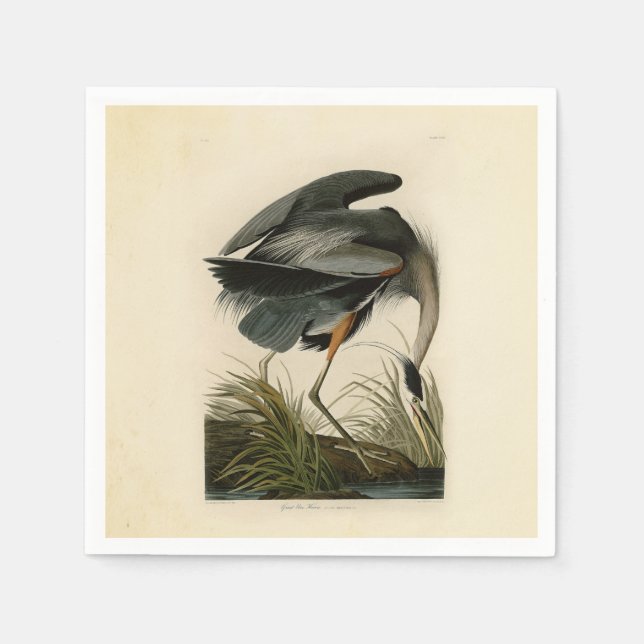 Servilleta De Papel Audubon Great Blue Heron Marsh Bird (Anverso)