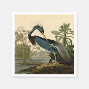 Servilleta De Papel Audubon Louisiana Garza Aves América Arte