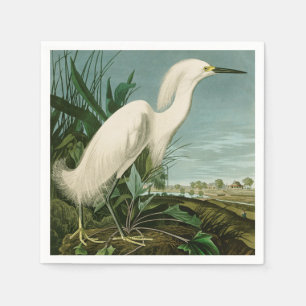 Servilleta De Papel Audubon Snowy Heron White Egret Bird Birding