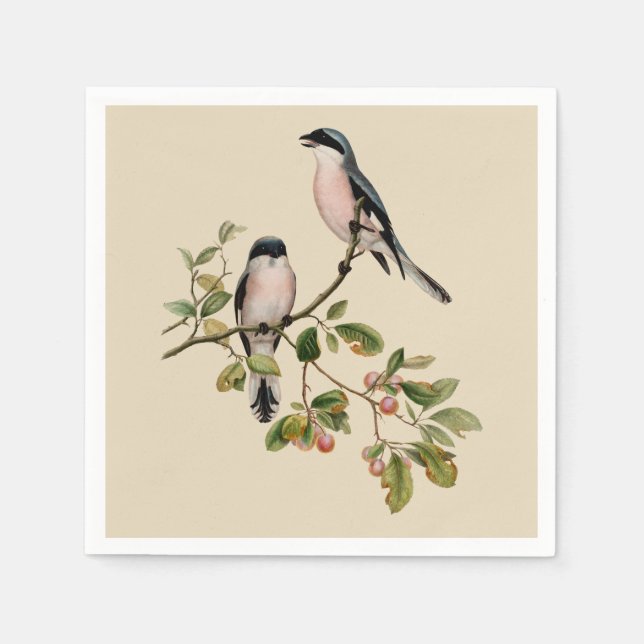 Servilleta De Papel Aves de Bonito antiguas en Beige (Anverso)