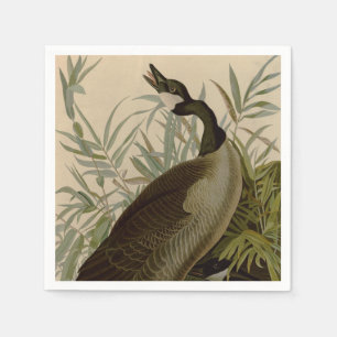 Servilleta De Papel Aves silvestres de Cría de Canadá Audubon